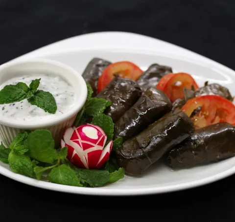 Dolmeh with maust o khiar